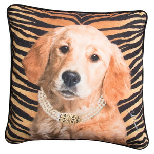 Willow the Golden Pillow at Linda Anderson